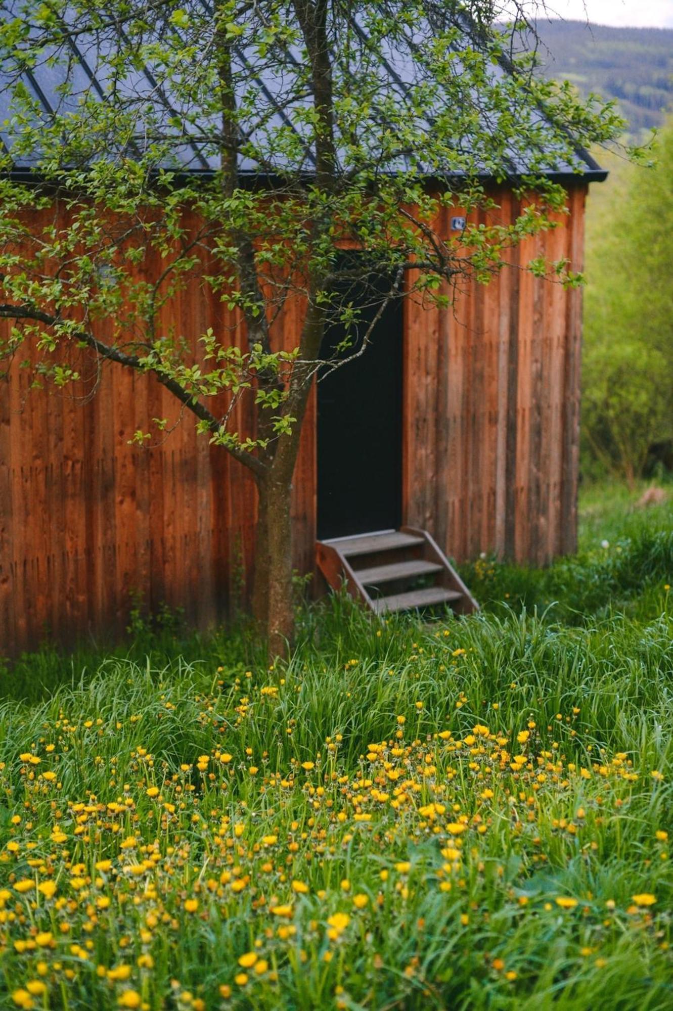 Tri Domky - Tiny Houses Depoltice Экстерьер фото
